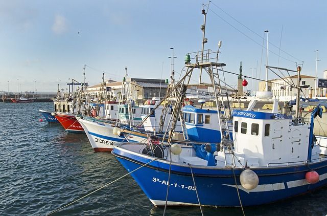 Brexit fallout: Scottish fishermen selling stock in Denmark