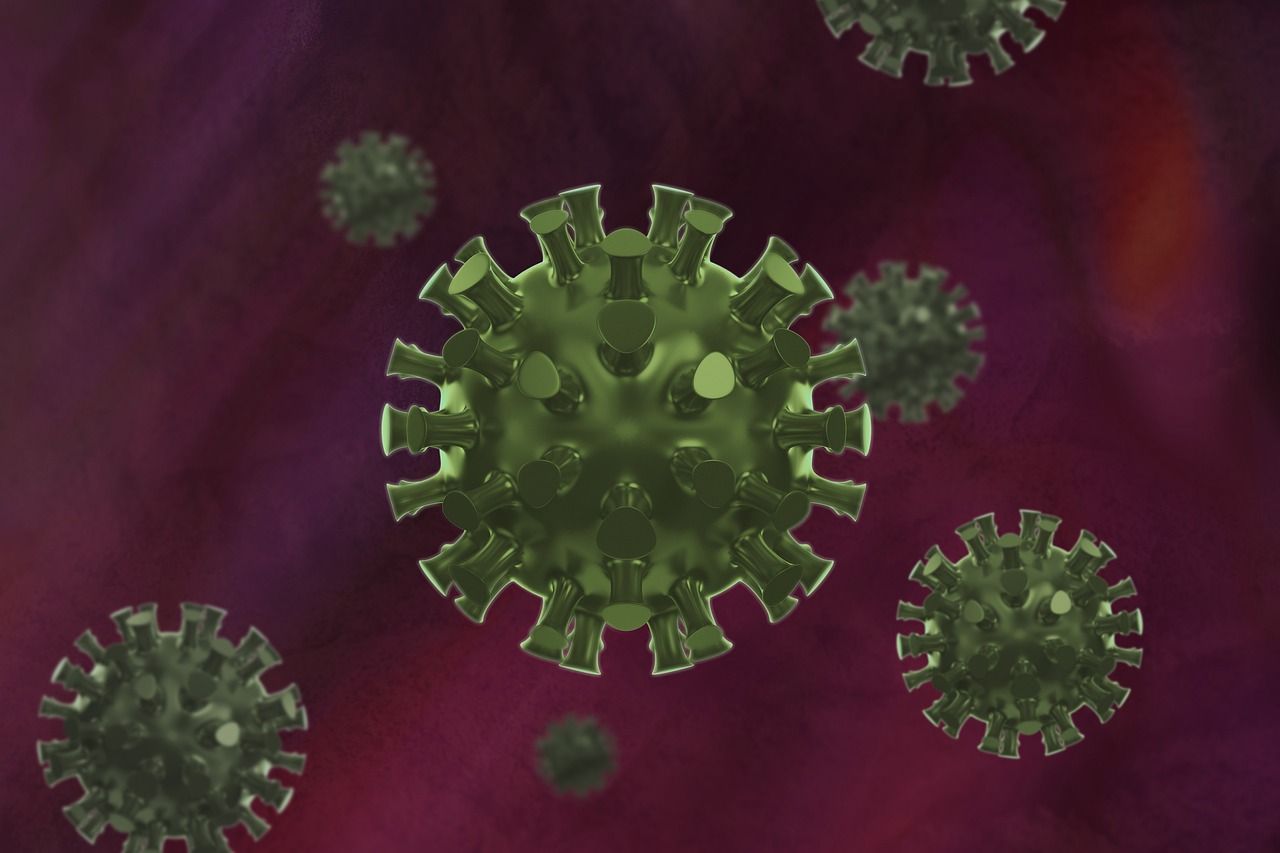 Coronavirus action: Expert results today, MP discussions tomorrow, big announcement Wednesday