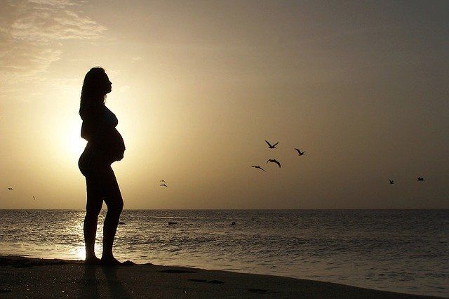 More women who become pregnant use frozen eggs in Denmark