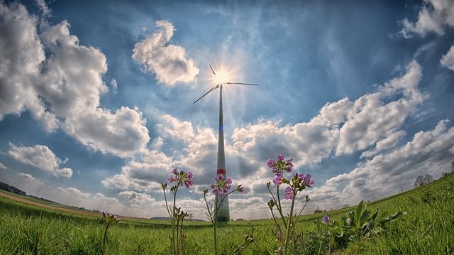 Dänemark gehört zu den weltweit führenden Energieumwandlungsunternehmen