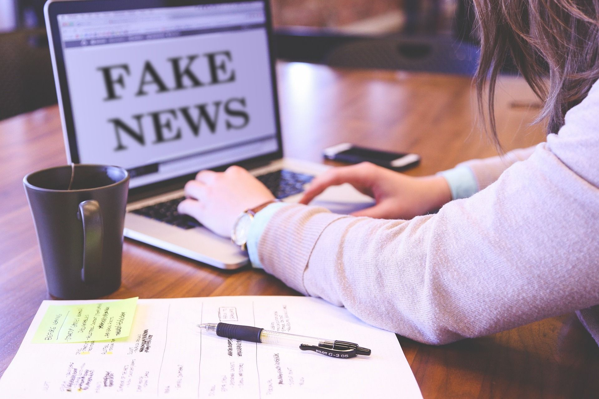 Cultural background: Almost half of Danes worry that their perspectives are skewed by 'fake news'
