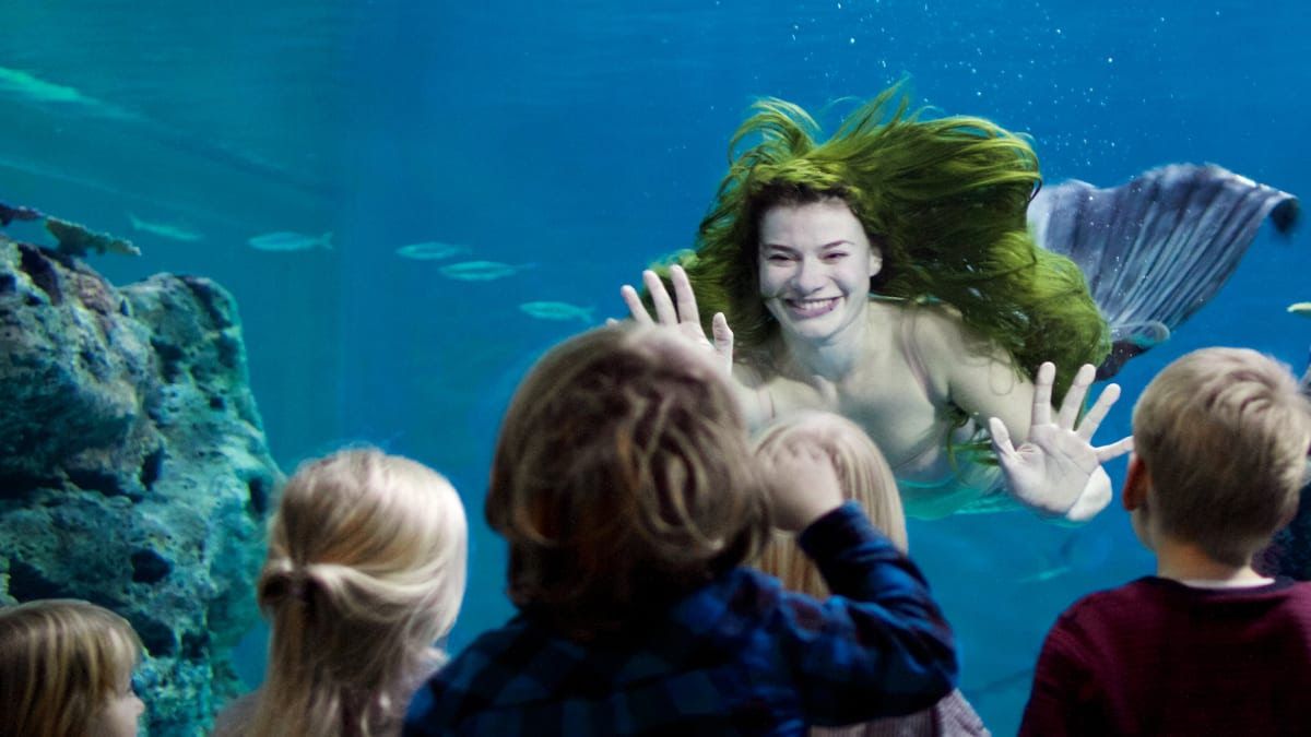 Culture Round-Up: Mermaid mayday at the Blue Planet Aquarium