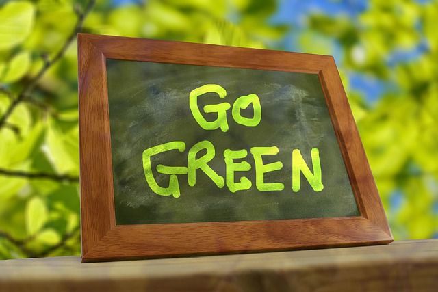 Building Green Habits: Where to Start?