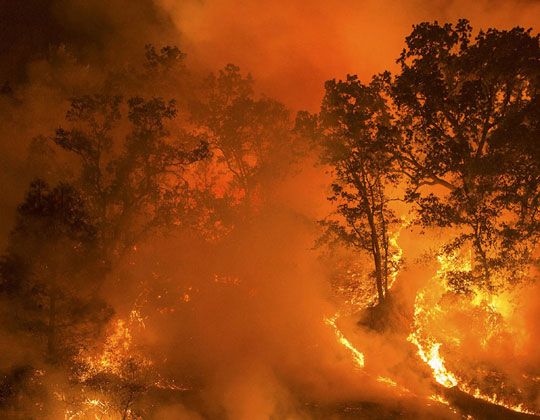 Natursammlung: Der Mann, der wegen des Entfachens von Waldbränden in Mitteljütland angeklagt ist, ist Leiter der örtlichen Feuerwache