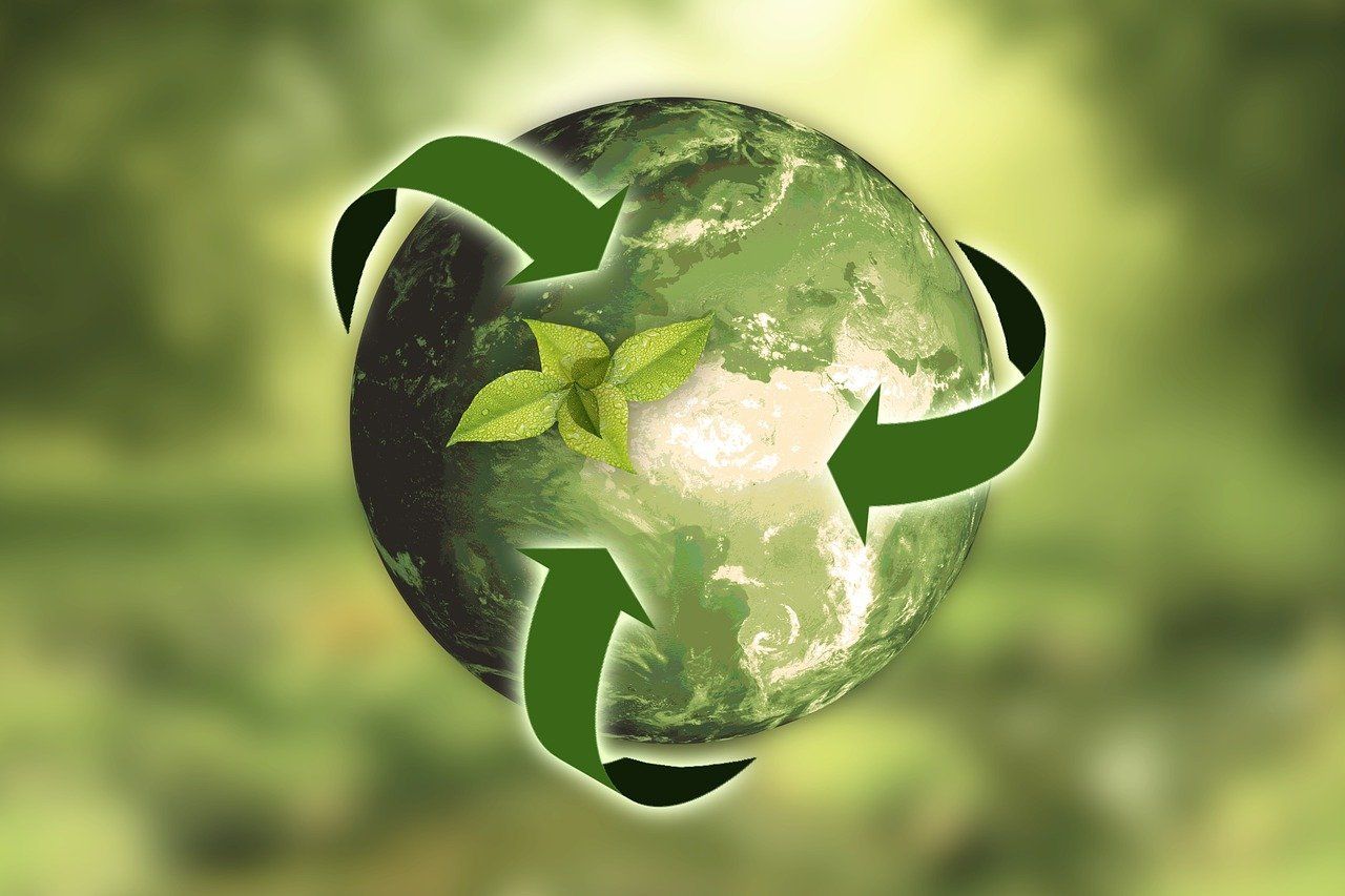 Building Green Habits: Recycling Smarter