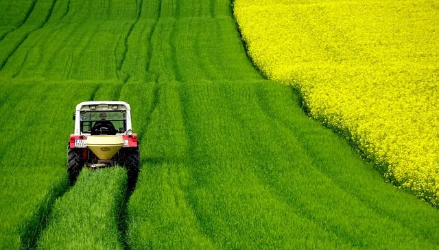 Explainer: Denmark’s CO2 tax on farming