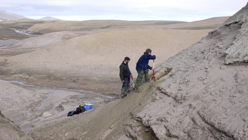 The world’s oldest DNA: remains found in Greenland are 2 million years old!