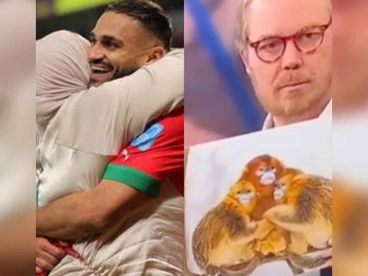 Marokkanische Fans schockiert über rassistische Kommentare im dänischen Fernsehen