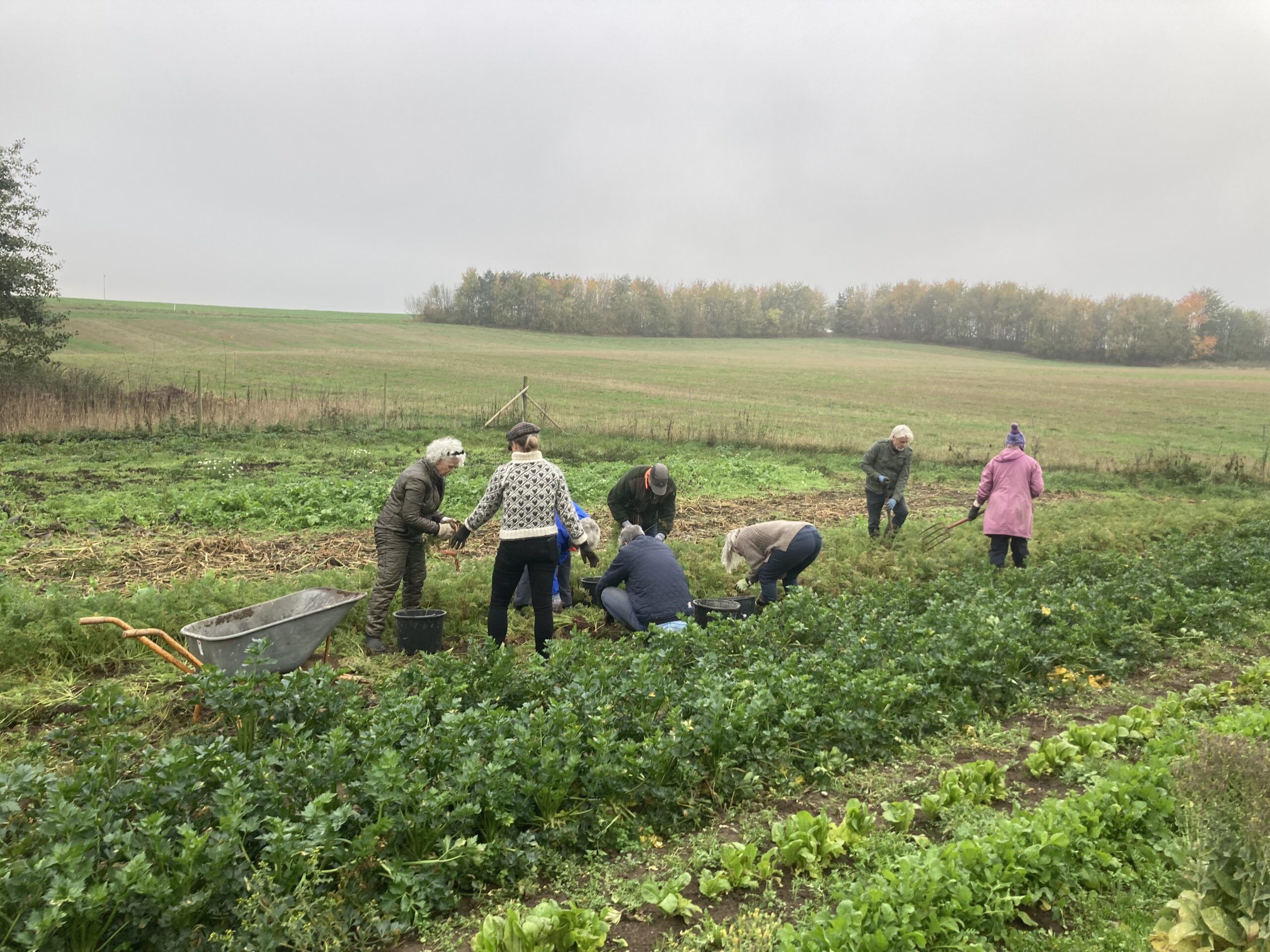 Duemosegaard – a farm where ideas are grown