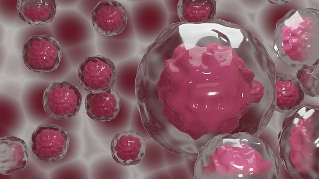 Social media helps propel stem cell donor registrations