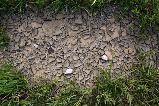 Dry spring: Drought an early concern for Denmark this year
