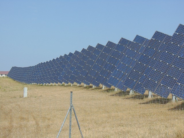 Solar power generating record levels of electricity in Denmark