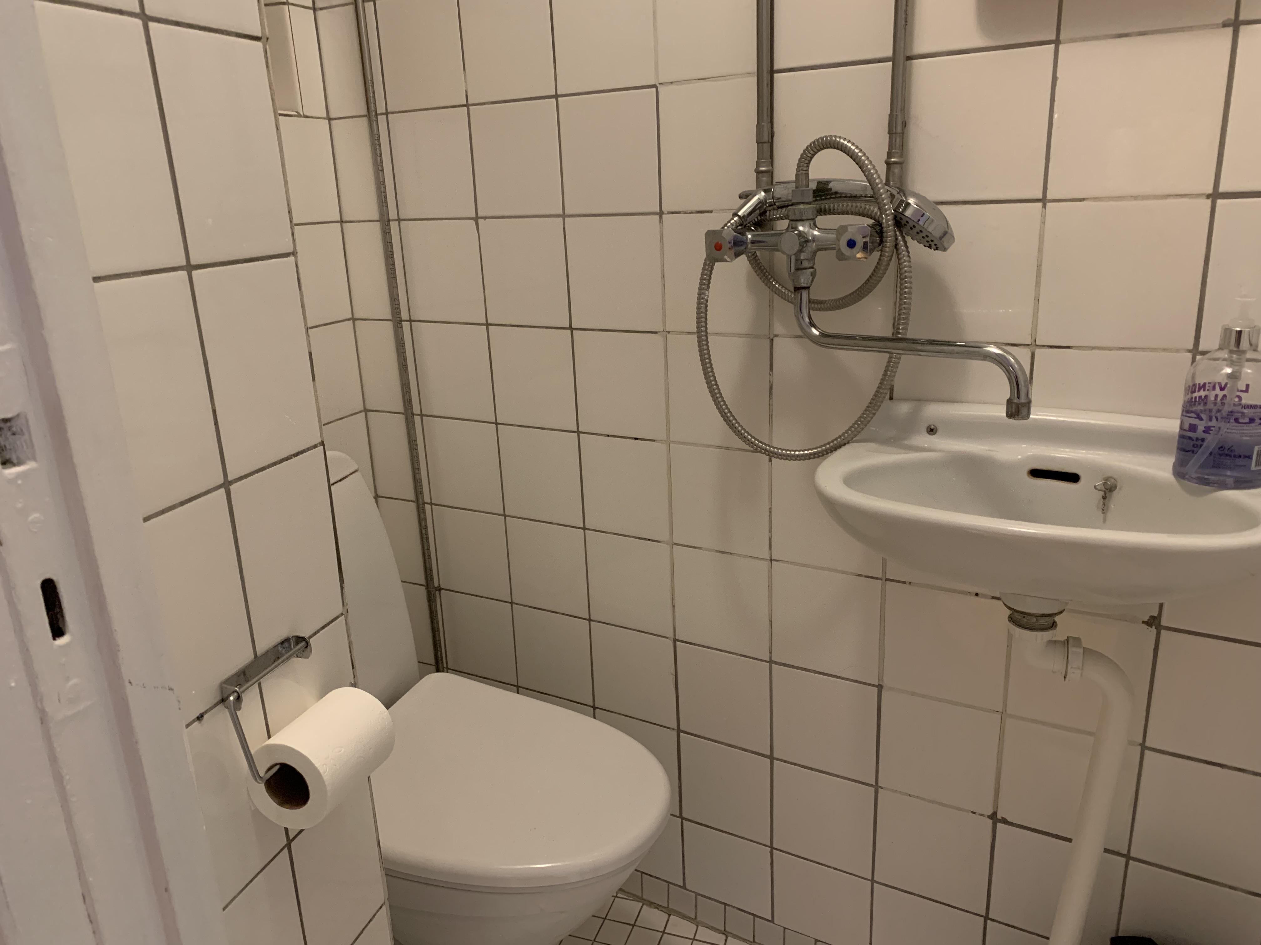 Surprisingly Denmark: Why many bathrooms are so tiny