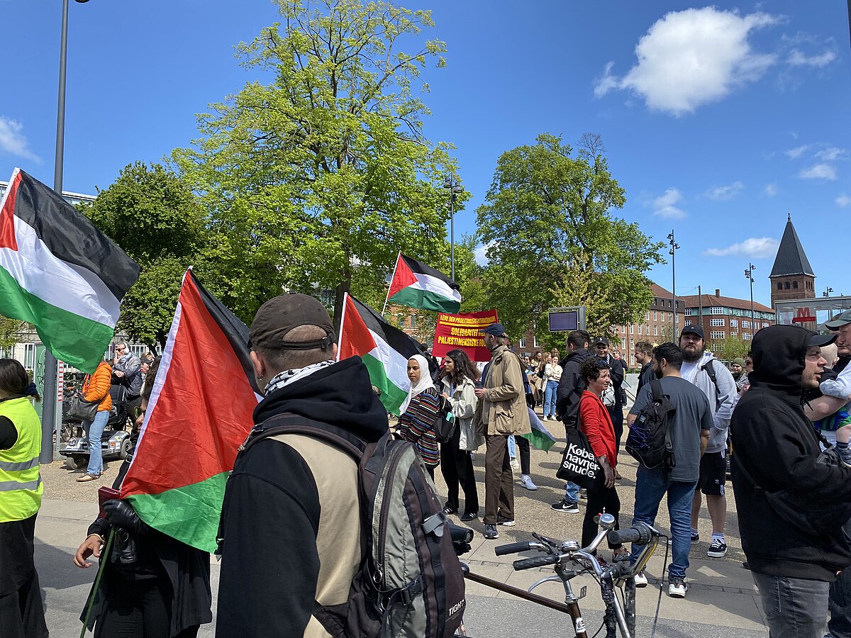 Pro-Palestinian demonstrations divide Copenhagen society