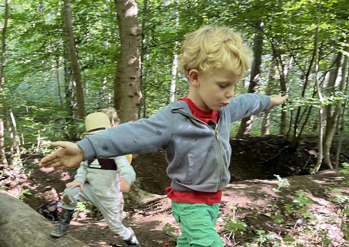 14 forest kindergartens in Copenhagen to close or cut capacity – concerned parents launch campaign