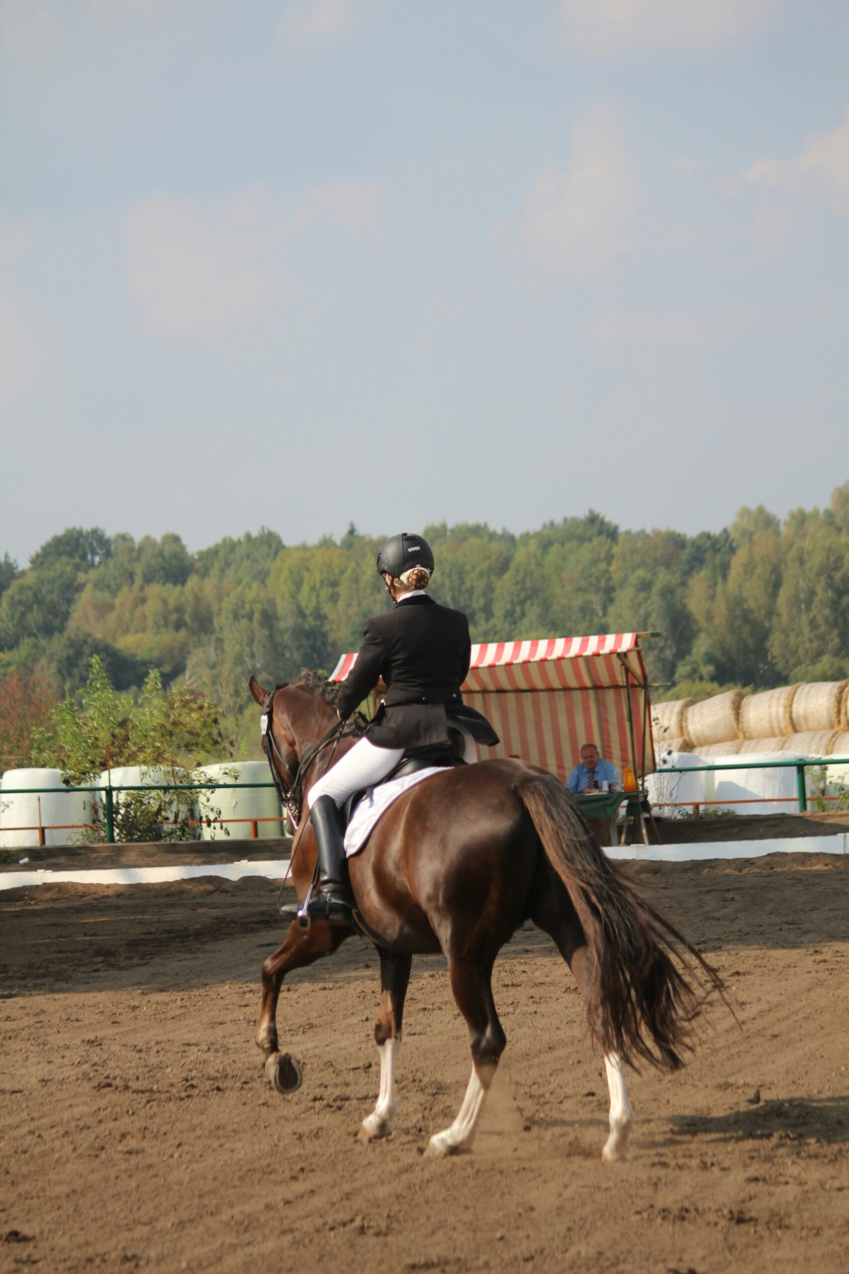 Danish dressage champion suspended from national team after horse whipping video