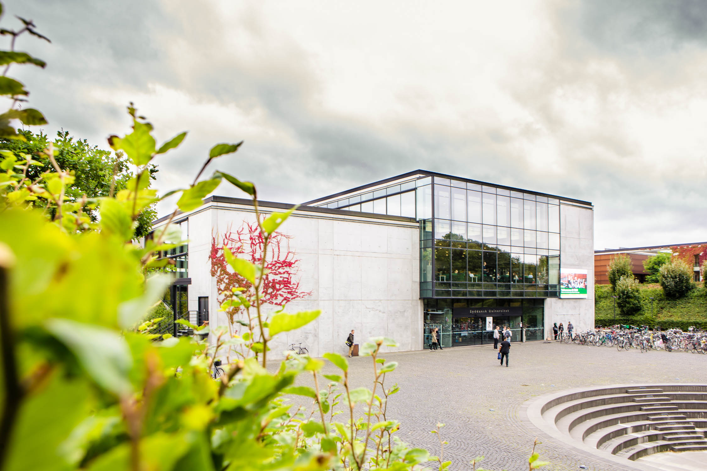 Denmark opens 800 new spots to attract international students